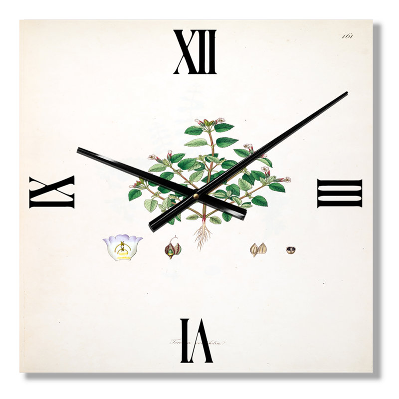Horloge murale Plant Life, Très grand