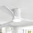 48'' Transitional Modern Led Dimmable Ceiling Fan With Lights And Remote Control 3cct Reversible Dc Motor Timer Memory-1154243592