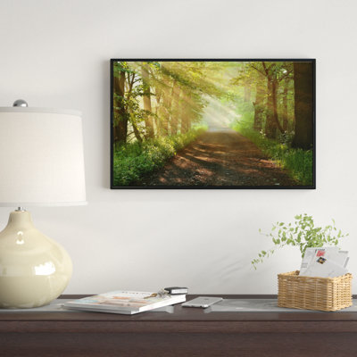 " Suns Peeks Into Forest "