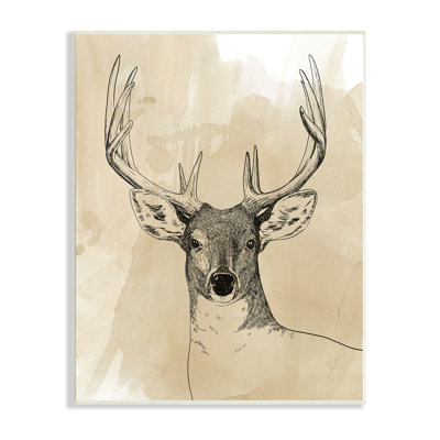 Illustration d'un animal sauvage, forêt, animalier, aquarelle