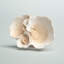 Sculpture corail blanc