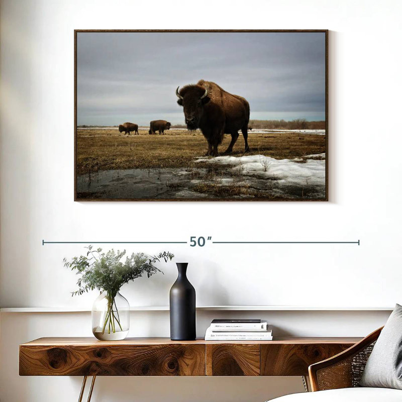 Bison Cloud Day, Cadre flottant en noyer, 40 po x 27 po