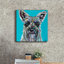 «Colorful Schnauzer» par Carolee Vitaletti-1829831975