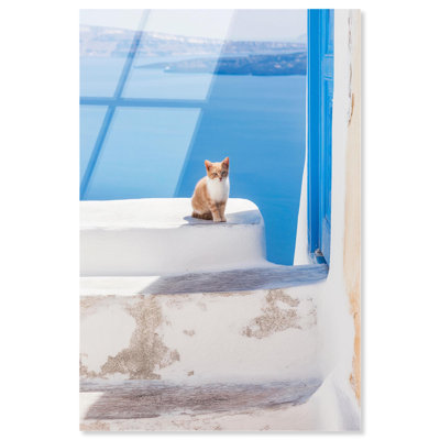 Impression sur toile Marine Mew par Notoriart, prête à être accrochée