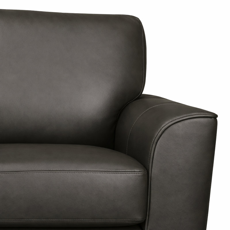 Ensemble de canapé et de chaise en cuir Nadin de qualité supérieure avec coussins de dossier moelleux de couleur grise, Gris