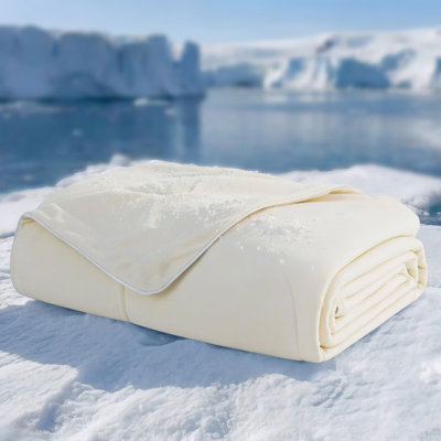 Bedsure Cooling Blanket with Breathable Air Dog Cooling Mat Soft, Lightweight Pet Cat Throw Cold Blanket Washable for Summer