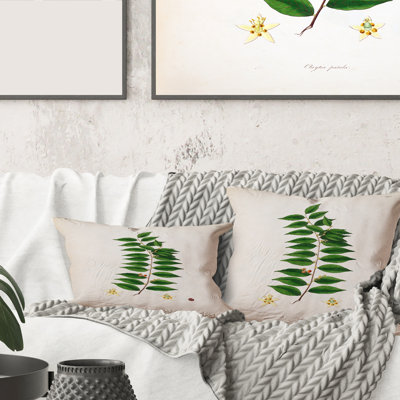 Vintage London Plants VI - Coussin Farmhouse