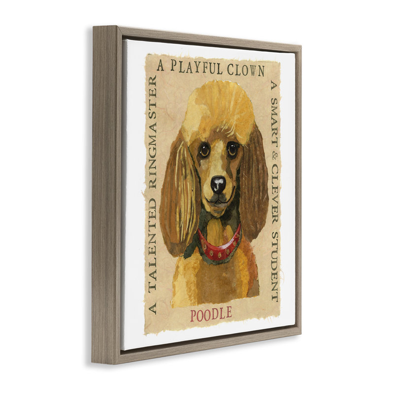 "Fun Poodle Pet", art mural encadré flottant par Nancy Overton, Cadre flottant orme Montalcino, H 18 po x l 18 po