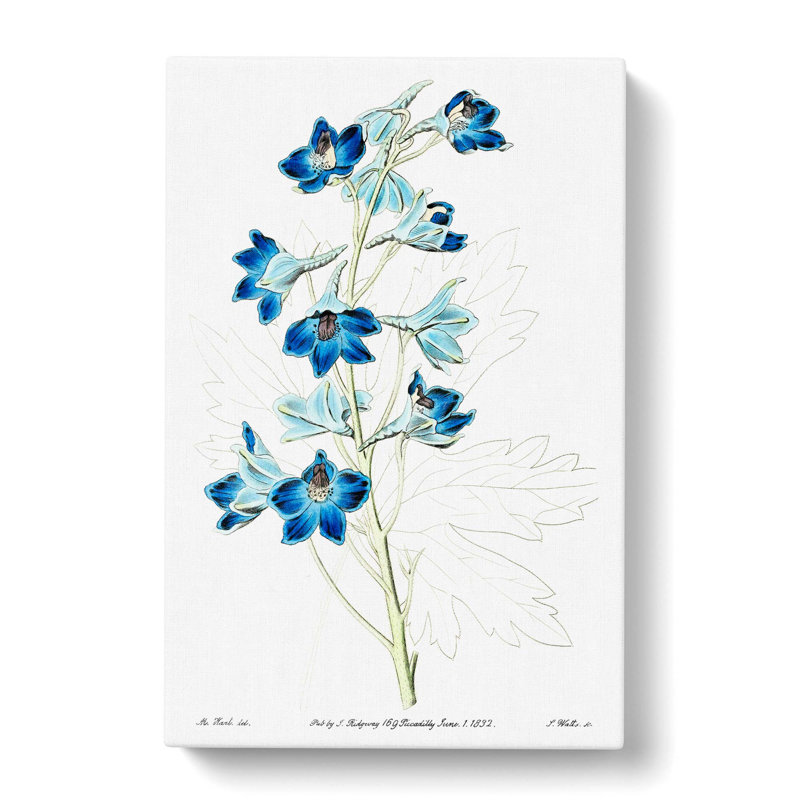 Blue Larkspur Flowers - Wrapped Canvas Painting, 50cm H x 35cm W x 3cm D
