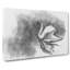 Swan In Abstract - Wrapped Canvas Print-55338362