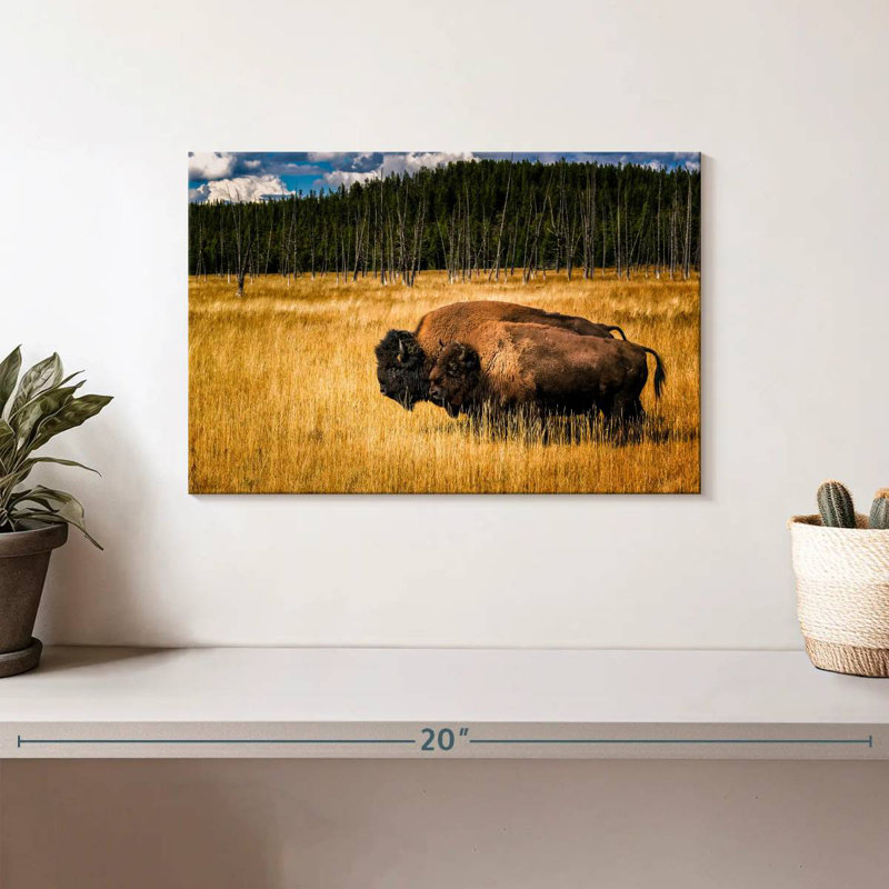 Brampt West Yellowstone Bison, 8" H x 12" W