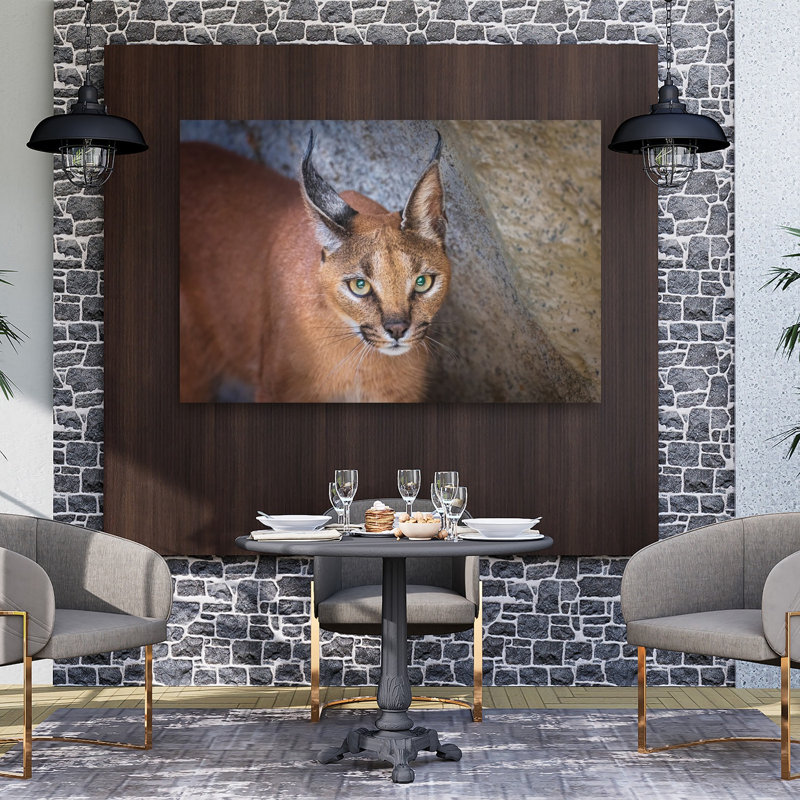 Caracal'S Watchful Gaze Contemporary Cat Wall Art Print by Jeffrey C. Sink - 1 Piece Wrapped Canvas Wall Art