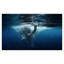 Elephant Swim 1 Print by Mat Sanders