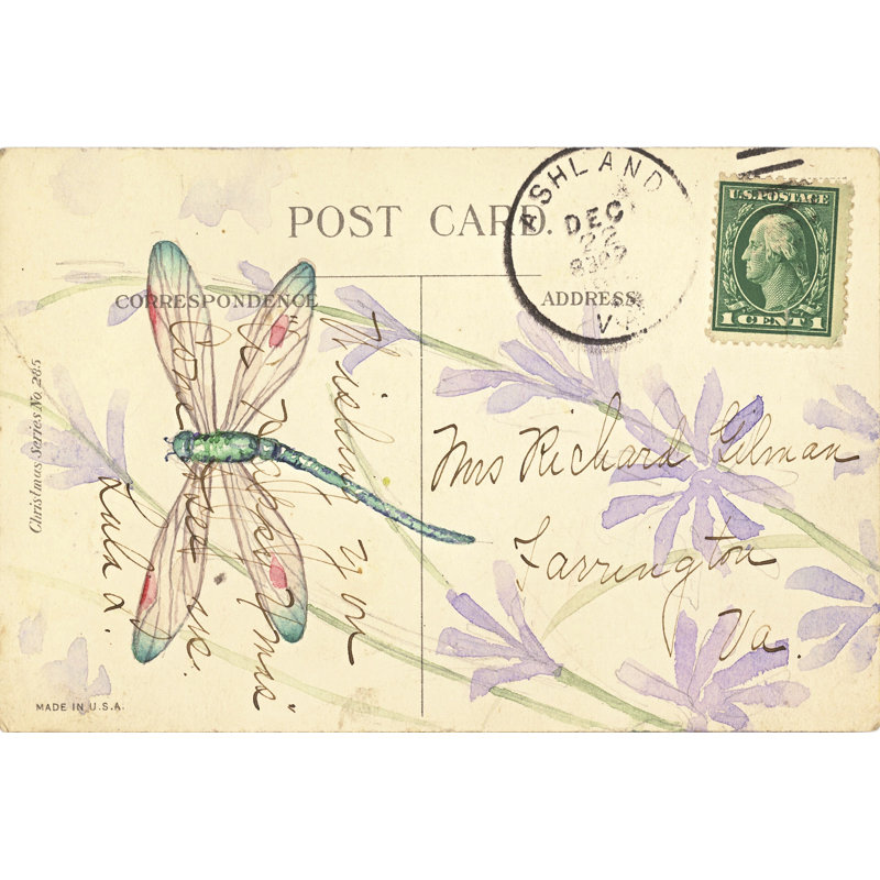 Postcard Dragonfly III by Nancy Shumaker Pallan - Wrapped Canvas Print, 51cm H x 76cm W x 3.8cm D