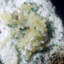 Cristal Carolinda