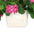 Geranium Arrangement in Ceramic Vase