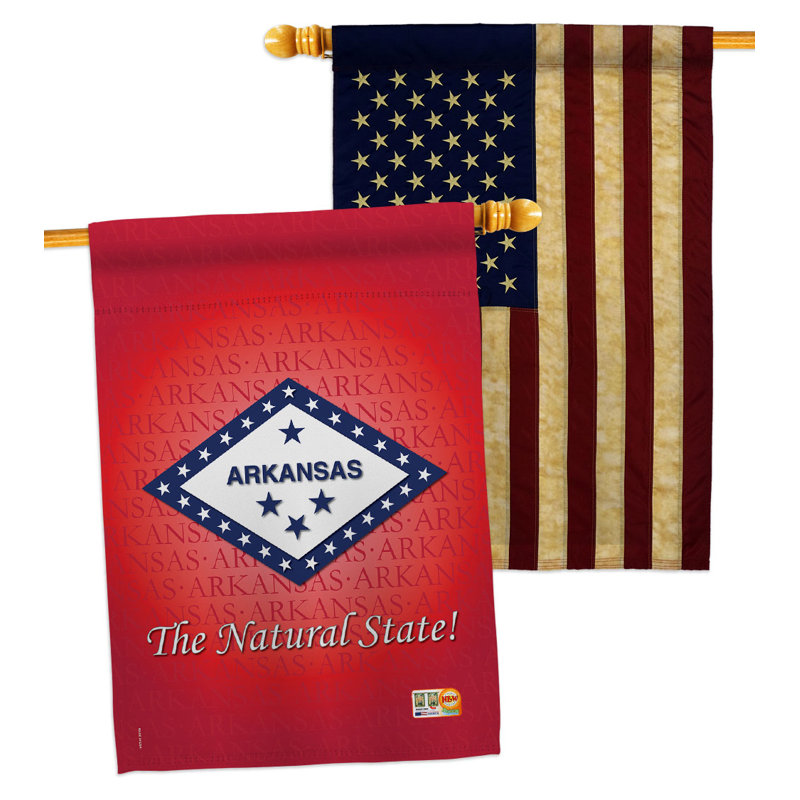 Double Sided 40'' H x 28'' W Polyester House Flag