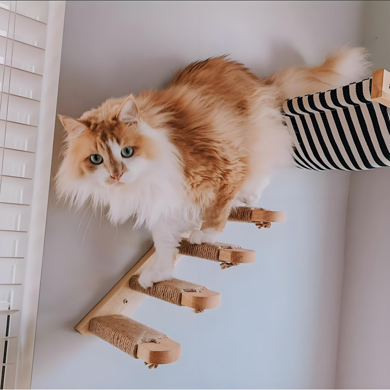 2 tablettes murales pour chat