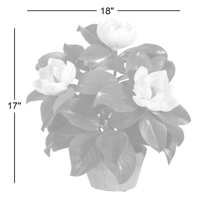 Garden Magnolia In Planter, 17" H x 18" W x 18" D