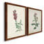Toile encadrée de qualité supérieure Traditional Botanical I - prête à être accrochée-1517760085-1517760086