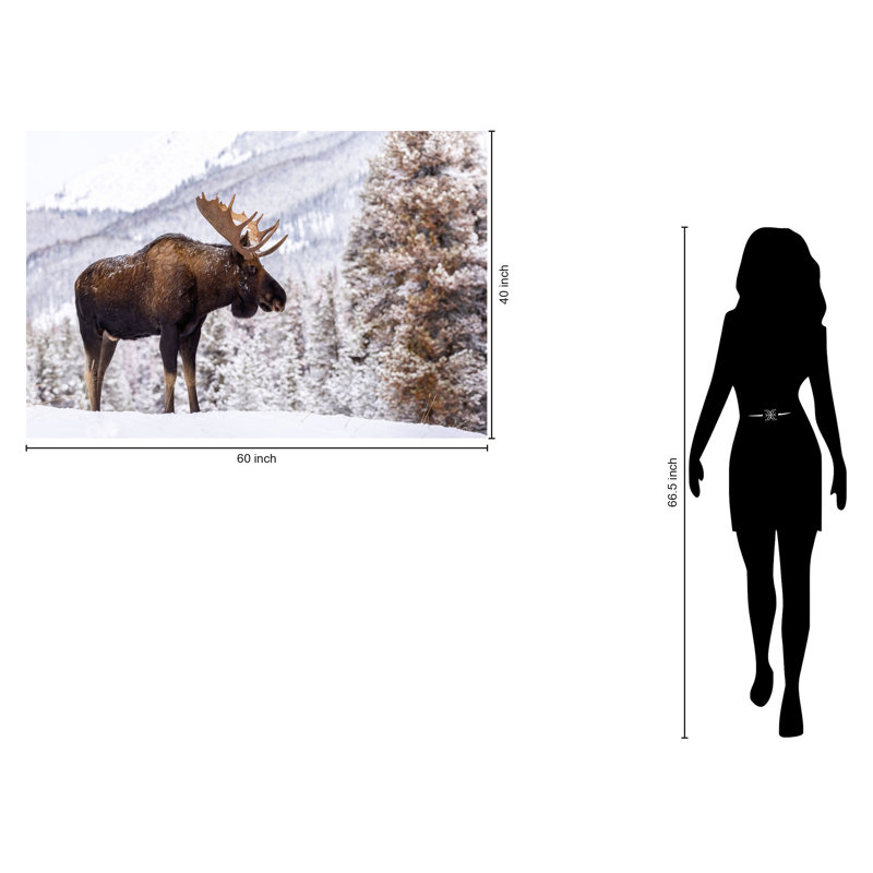 Art mural en verre trempé sans cadre Moose in Snow - 40 po x 60 po