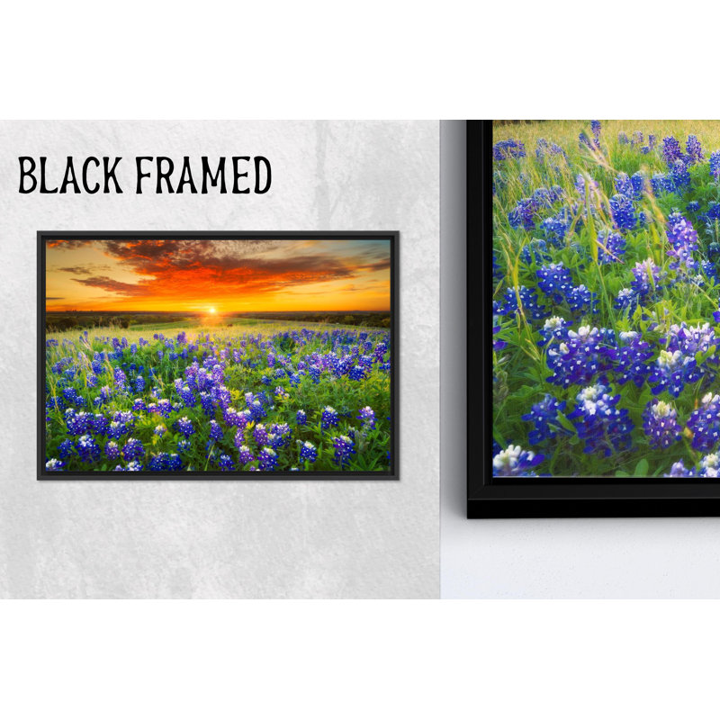 «Bluebonnet Field», reproduction d'art sur toile élégante, 1P BlackFramedCanves, H : 47,3 x L : 102,4 pouces
