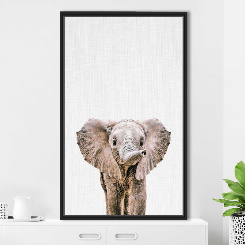 Bébé éléphant par - photographie, Cadre flottant noir, H 33,5 po x l 21,5 po x P 2 po