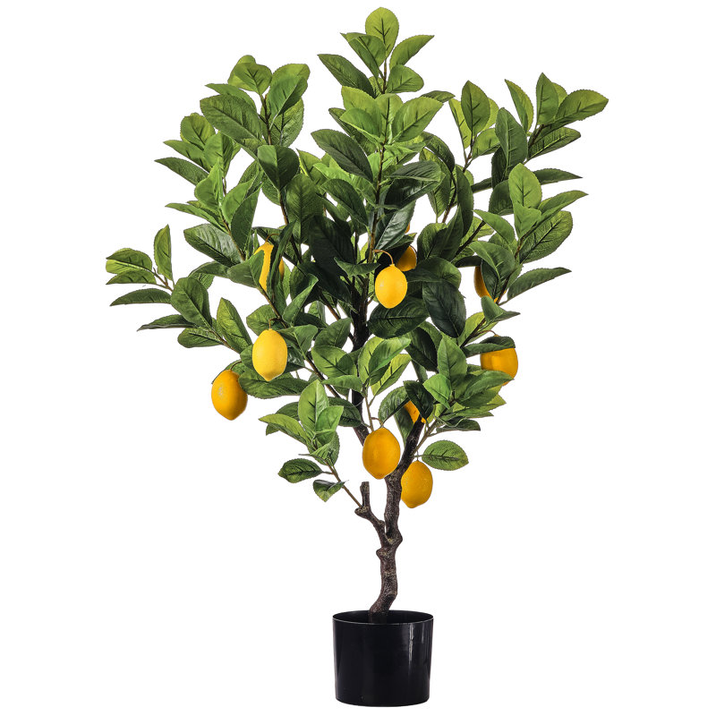 36 po citron en pot