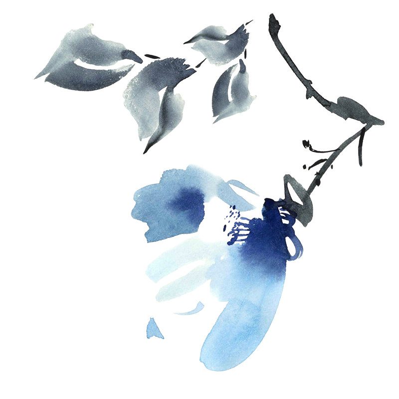 Blue Flowers Illustration - Wrapped Canvas Print, 91cm H x 91cm W x 3.8cm D