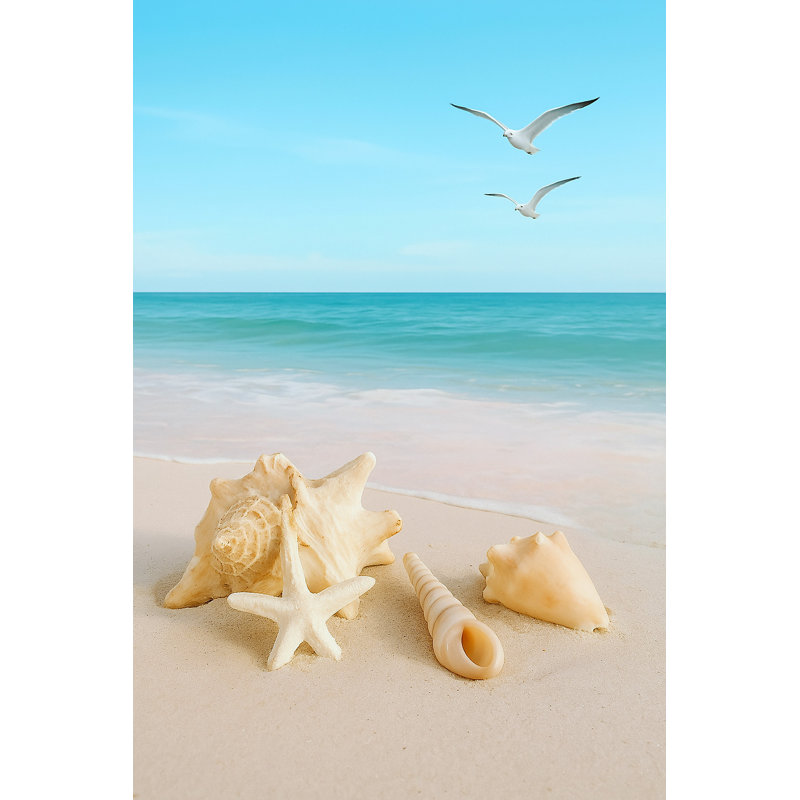 «Coastal Calm - Seashells & Seagulls», art sur toile tendue