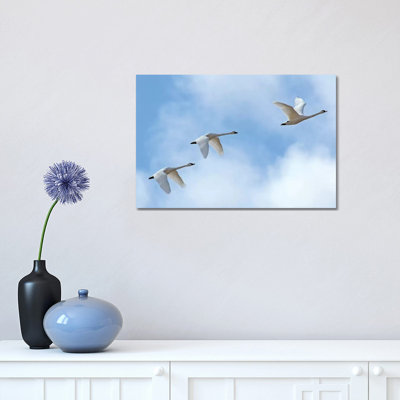 " Swan Flight " by Brian Wolf