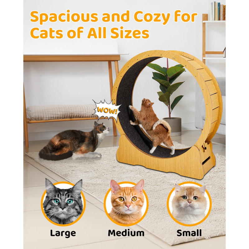 Large Treadmill Cat Exercise Wheel For Running Silent, Small (41.7"H x 13.4"W x 39.4"L)
