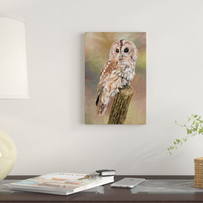 " Tawny Owl " by David Stribbling, 18" H x 12" W x 1.5" D, No Mat, Wrapped Canvas