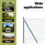 Galvanised Steel Border Fencing-708059668-708059664