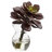 Succulent Arrangements Silk Plant Set