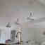 Photos des clients 1 de 1