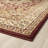 Anoush Oriental Indoor Rug-1559394679