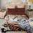 W-SEP-202308 Blanket-1523518732