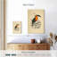 Brampton Toucan Du Para-108472833