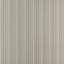 Concentric-586430930