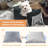 Small Dog Car Seat