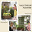 Wood Raised Garden Bed-1762226939