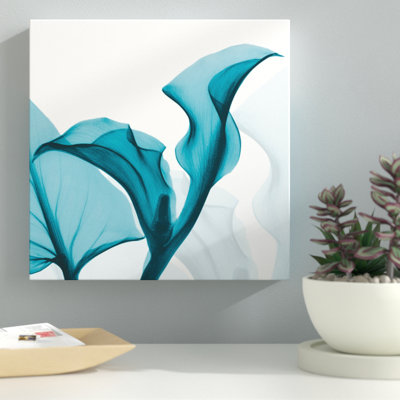 Callaqua_L235 - Wrapped Canvas Print