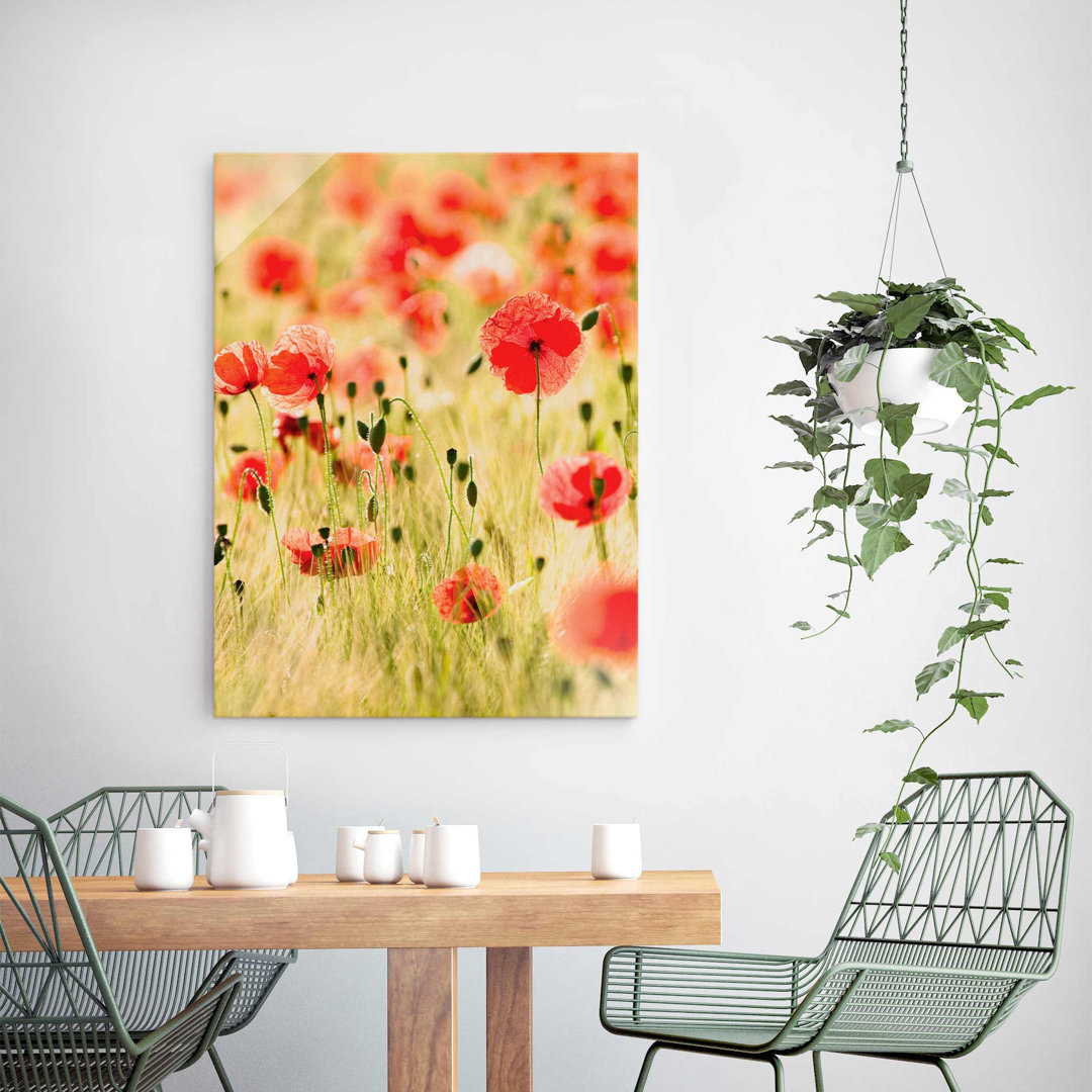 Glasbild Mohnblumen im Sommer in Rot