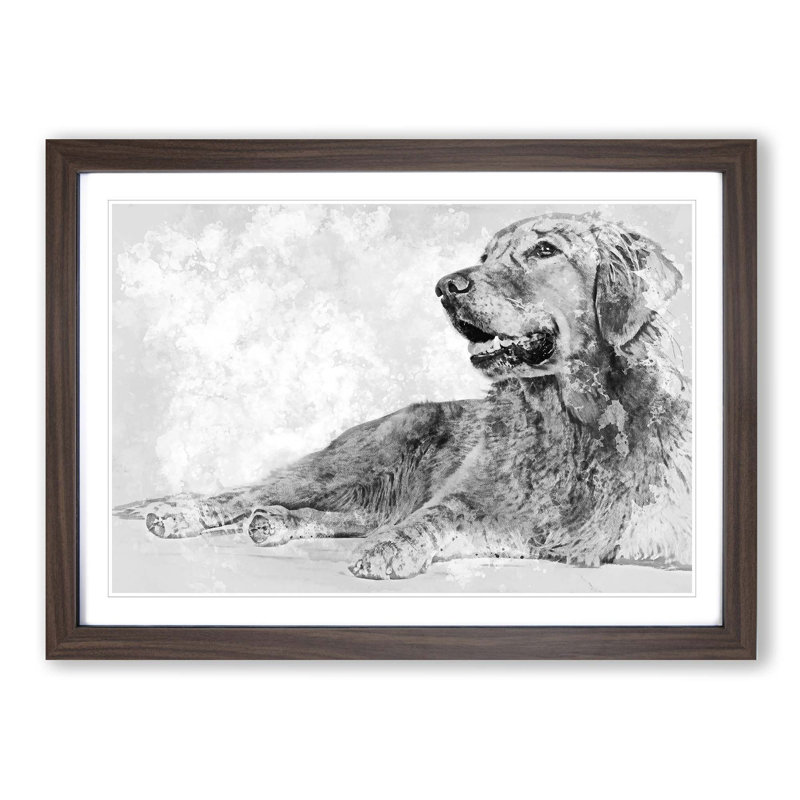 Golden Retriever in Abstract - Picture Frame Art Print, Walnut Framed, 27cm H x 36cm W x 2cm D