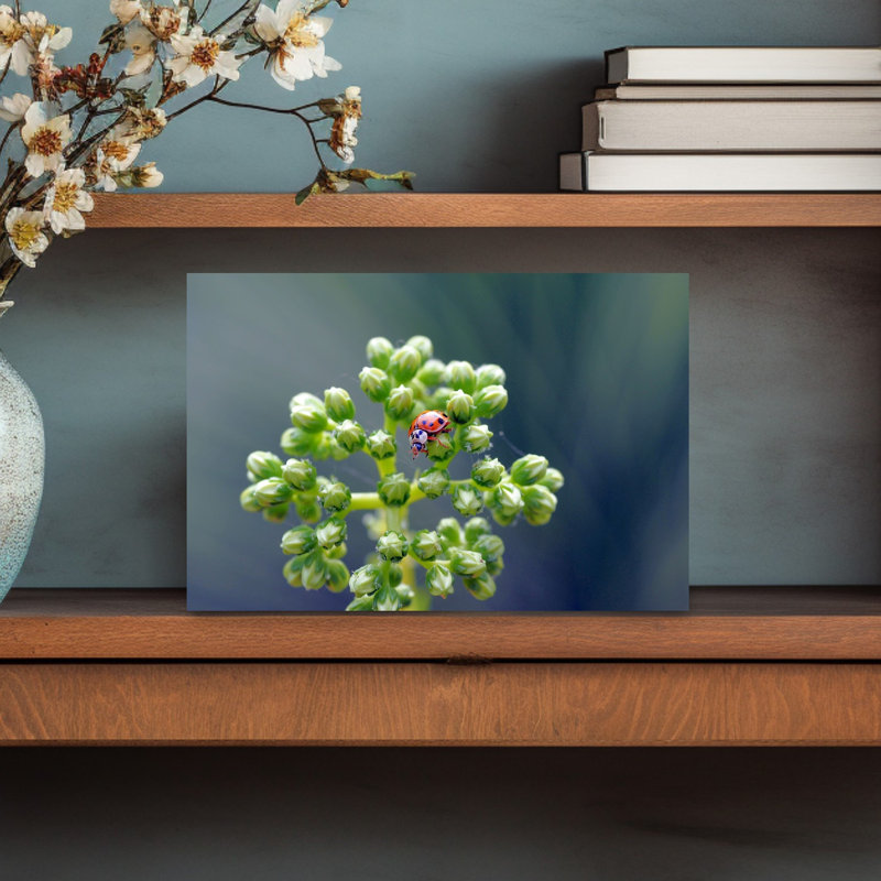 Ladybug On Green Buds Delicate Vibrant Ladybug Flower Nature Wall Art Print 1 Piece Wrapped Canvas Wall Art
