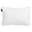 Coussin lombaire Patrick-1657973364