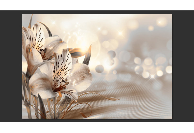 Princesses of the Morning 210cm x 300cm Wallpaper, 300 cm x 210 cm