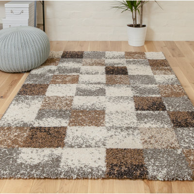 Risher Geometric Shag Area Rug