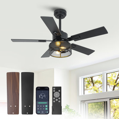 Vaczon 42" Smart Ceiling Fan with Light Kit and Remote Control, 6 Speeds Reversible DC Motor, Double-Sided Wood Blades, Timer, 6''/10'' Downrods, for Indoor/Covered Outdoor Use